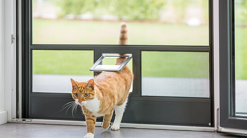 Pendeltür mit integrierter Katzenklappe
